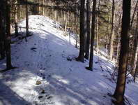 Looking East, above Wildlife Pond