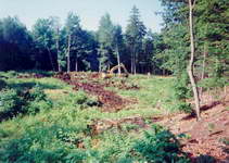 Pond construction, 1999