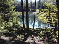 Willdlife Pond, from Esker