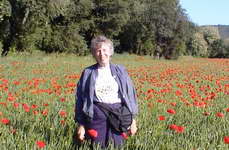 Sandy in poppy field in Viviers
