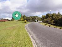The largest kiwi