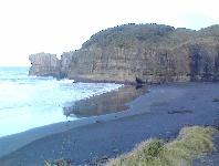 Muriwai Beach