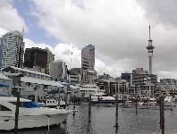Sky Tower from harbour