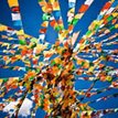 Tibetan customs and festival decoration